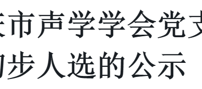 关于重庆市声学学会党支部代表候选人初步人选的公示